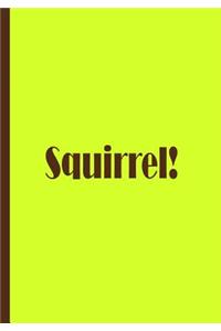 Squirrel