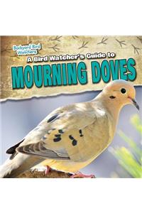 Bird Watcher's Guide to Mourning Doves