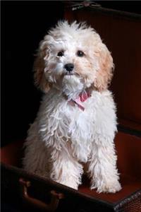 An Adorable Cockapoo Designer Dog Journal