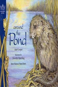 Around the Pond