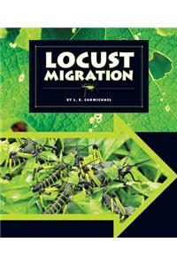 Locust Migration