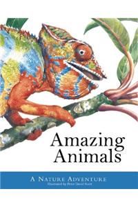 Amazing Animals: A Nature Adventure