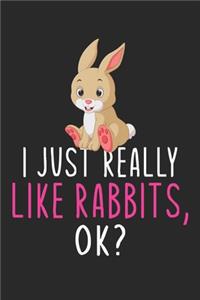 I Just Really Like Rabbits Ok?
