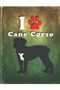 Cane Corso