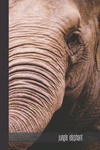 jungle elephant