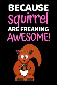 Because Squirrel Are Freaking Awesome