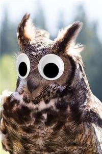 Googly Eye Great Horned Owl Journal