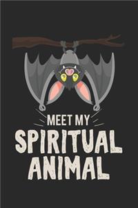 Meet my spiritual animal bat