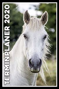 Terminplaner 2020
