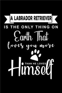 A Labrador Retriever is the only thing on earth that loves you more