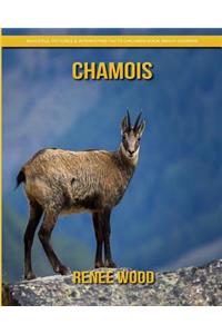 Chamois