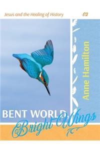 Bent World, Bright Wings
