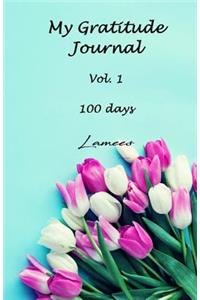 My Gratitude Journal Vol.1 100 days