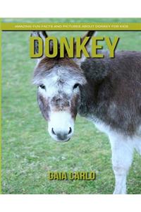 Donkey