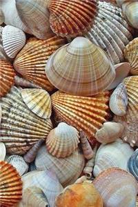 Seashells Notebook