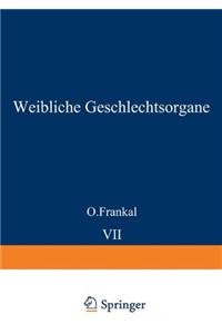 Uterus Und Tuben