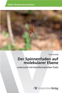 Spinnenfaden auf molekularer Ebene
