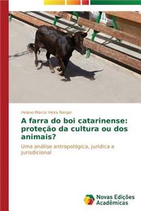 A farra do boi catarinense