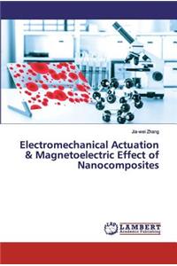 Multi-functional Nanocomposites for the Energy Conversion