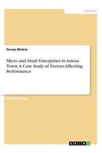 Micro and Small Enterprises in Assosa Town. A Case Study of Factors Affecting Performance