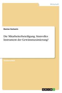 Mitarbeiterbeteiligung. Sinnvolles Instrument der Gewinnmaximierung?