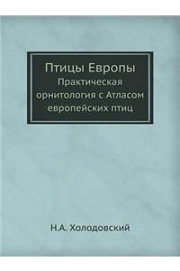 Птицы Европы