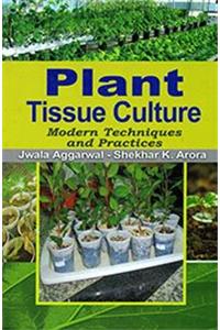 Plant Tissue Culture Modern Techniques and Practice