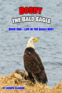 Bobby the Bald Eagle