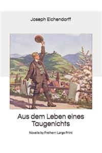 Aus dem Leben eines Taugenichts