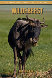 Wildebeest