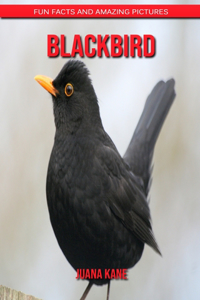 Blackbird