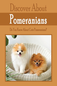 Discover About Pomeranians