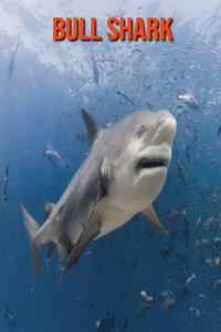 Bull Shark