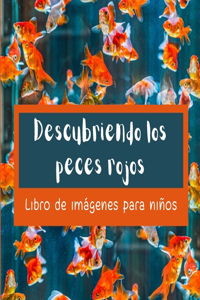 Descubriendo los peces rojos