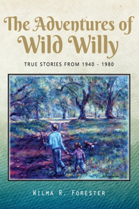 Adventures of Wild Willy