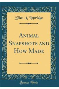 Animal Snapshots and How Made (Classic Reprint)