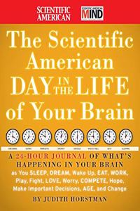 Scientific American Day in the Life of Your Brain