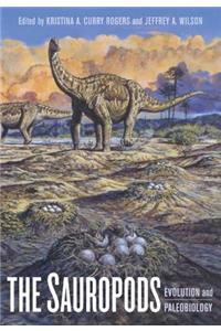 The Sauropods