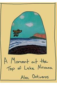 Moment at the Top of Lake Nirvana