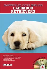 Labrador Retrievers