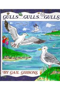 Gulls . . . Gulls . . . Gulls . . .