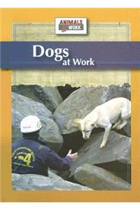 Dogs at Work