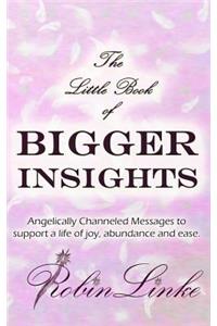 Little Book of Bigger Insights