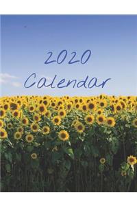 2020 Calendar