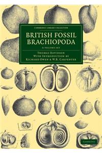 British Fossil Brachiopoda 6 Volume Set