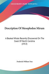 Description of Mesoplodon Mirum