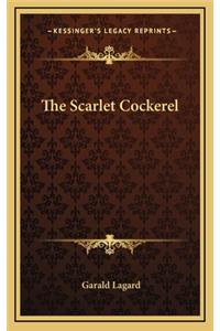 The Scarlet Cockerel