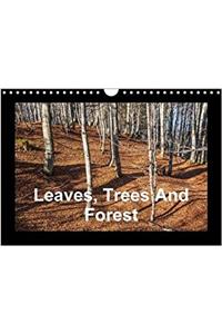 Leaves, Trees and Forest 2017