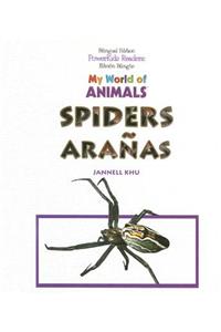 Spiders / Arañas