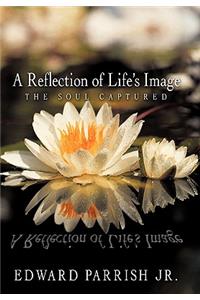 Reflection of Life's Image